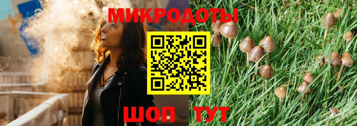 Псилоцибиновые грибы Psilocybe  Вход с VPN  Городец  Галлюциногенные грибы MAGIC MUSHROOMS 
